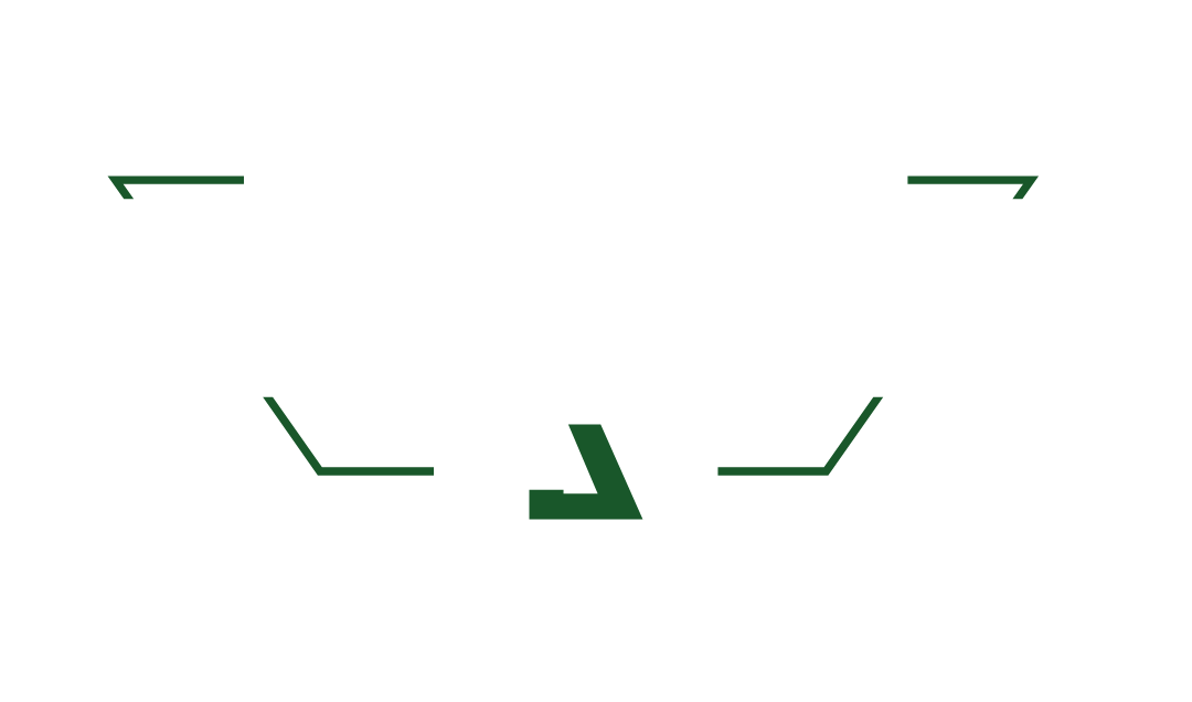 Best vertical jump 2025 program reddit